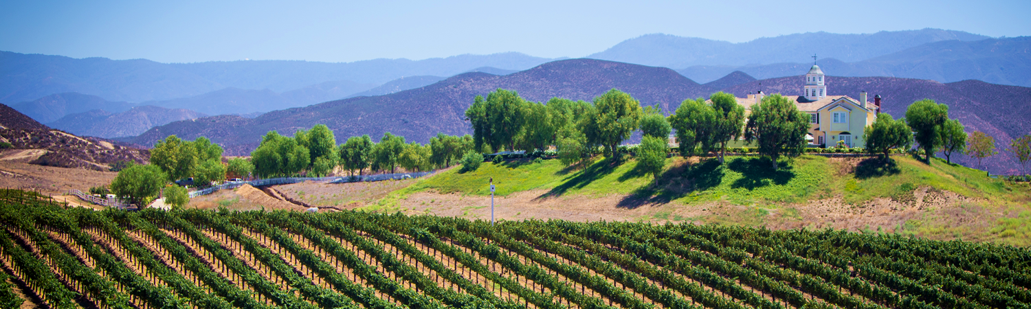 Banner image of Paso Robles 